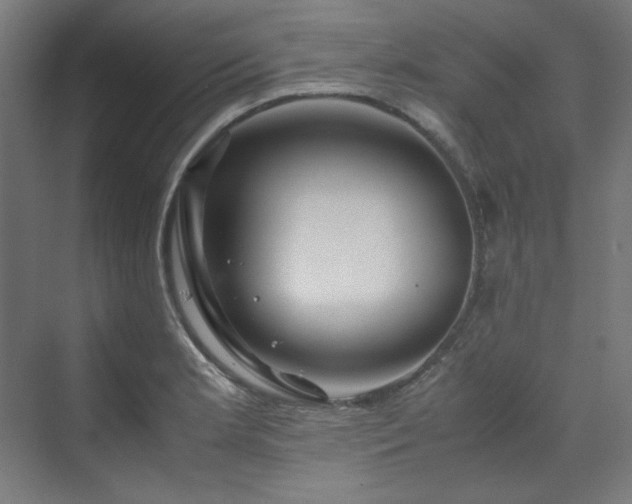 X0000070171181200606021049
