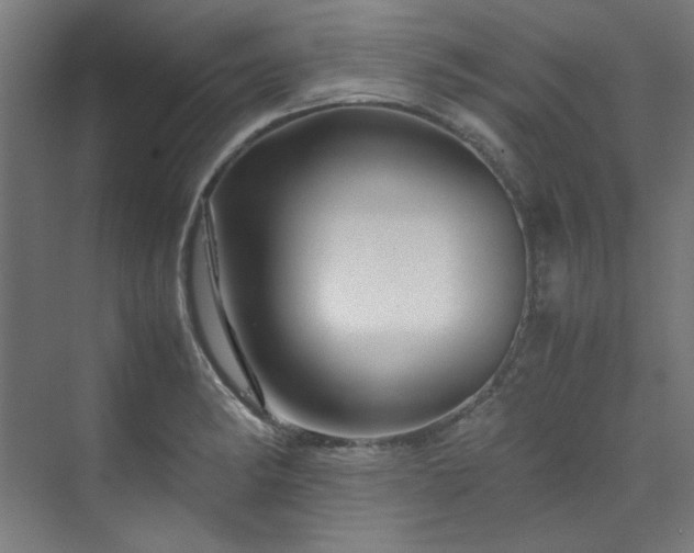 X0000070171182200606021049