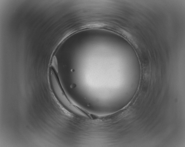 X0000070171186200606021049