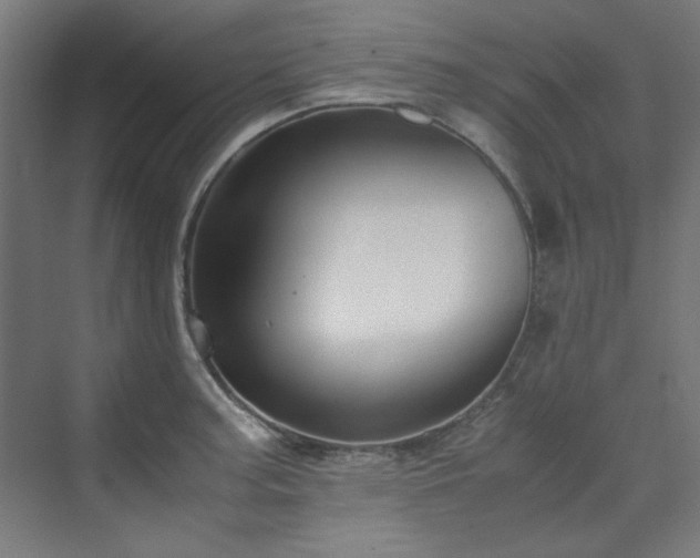 X0000070171187200606021049