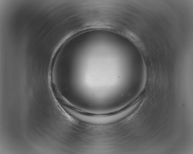 X0000070171188200606021049