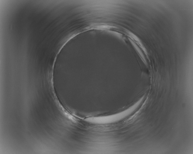X0000070171194200606021049