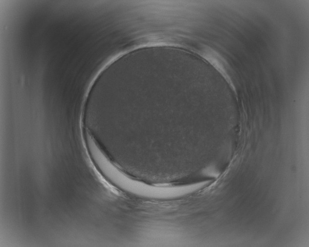 X0000070171197200606021049