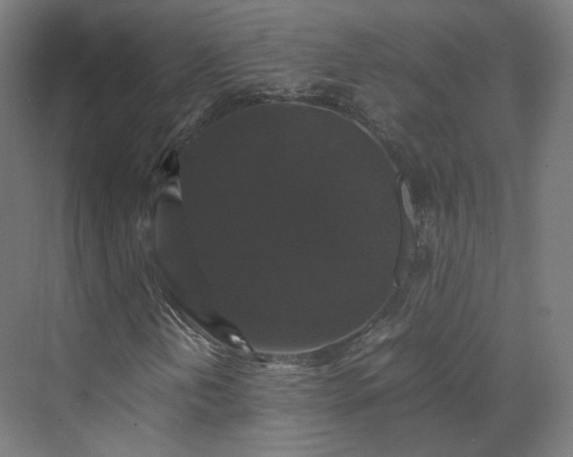 X0000070171202200606021048