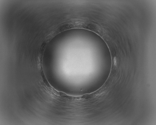 X0000070171203200606021048