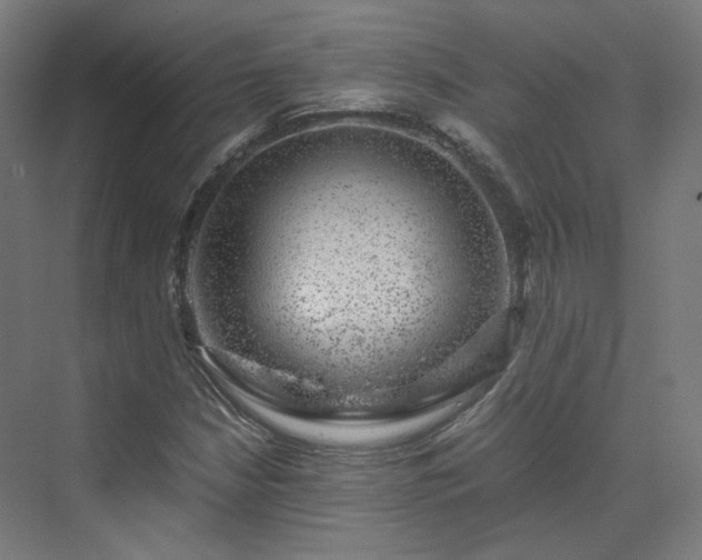 X0000070171210200606021048