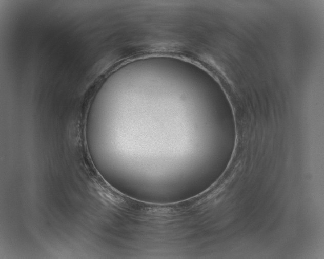 X0000070171211200606021048