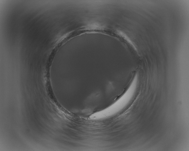 X0000070171213200606021048