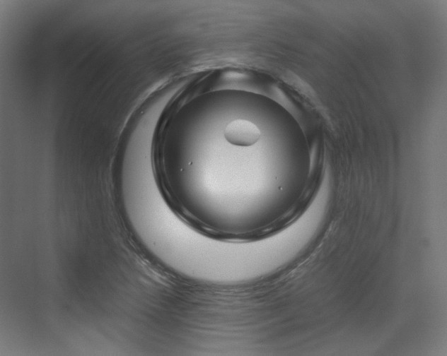X0000070171218200606021048