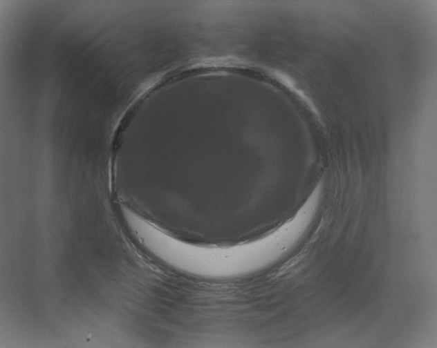 X0000070171221200606021048