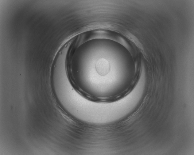 X0000070171226200606021049