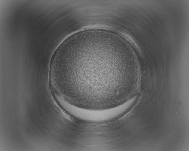 X0000070171228200606021049