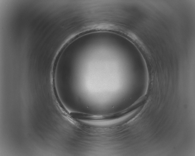 X0000070171232200606021049