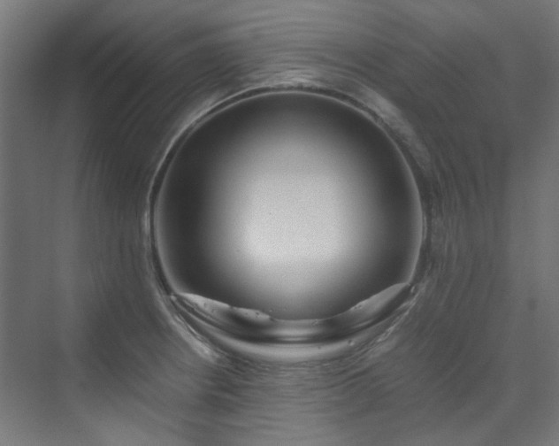 X0000070171234200606021049