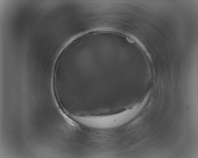 X0000070171245200606021049