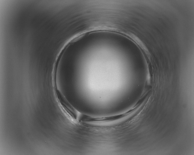 X0000070171246200606021049