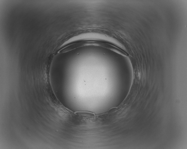X0000070171252200606021048