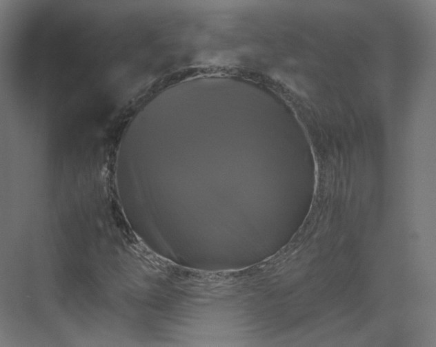 X0000070171254200606021048