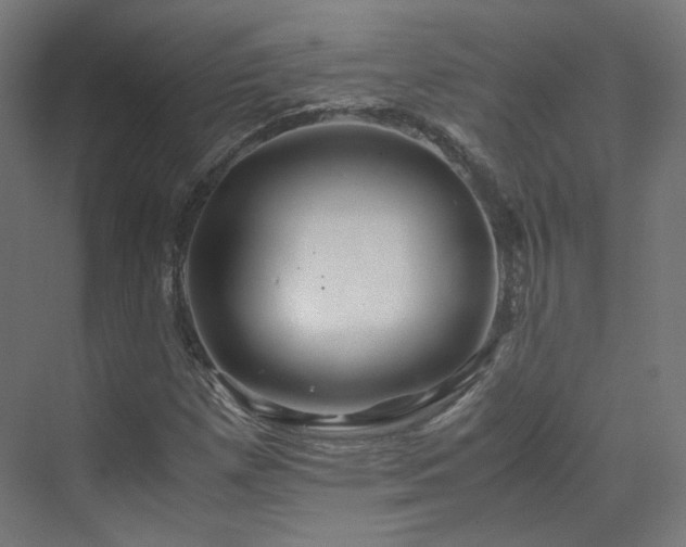 X0000070171257200606021048