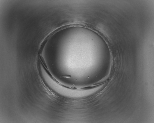 X0000070171260200606021048