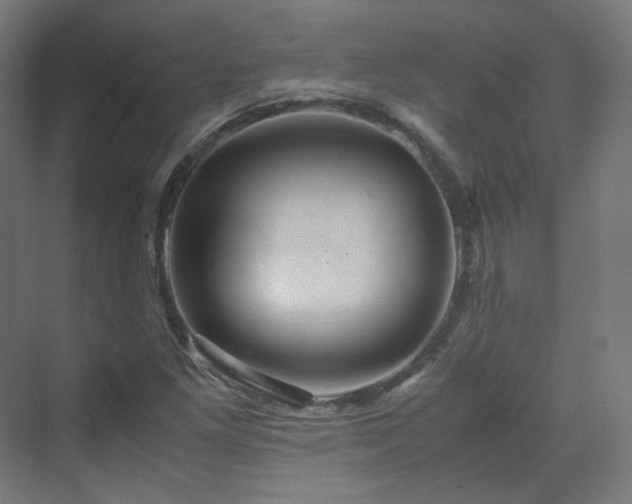 X0000070171261200606021048