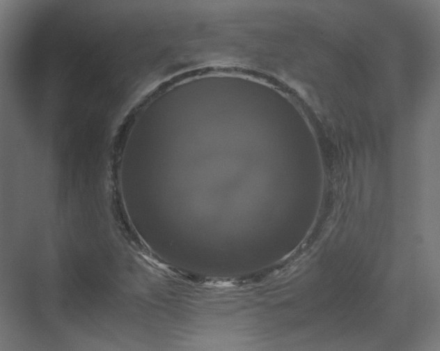 X0000070171263200606021048