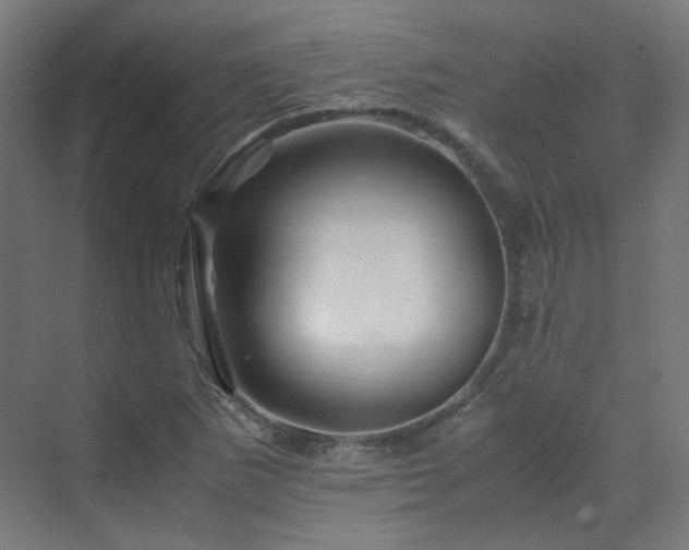 X0000070171265200606021048