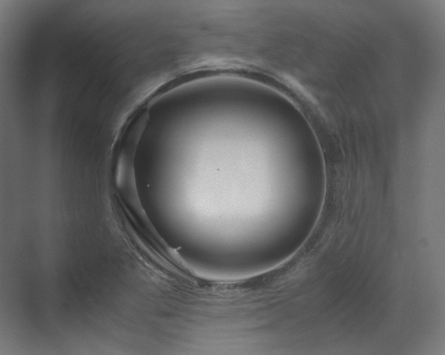 X0000070171269200606021048