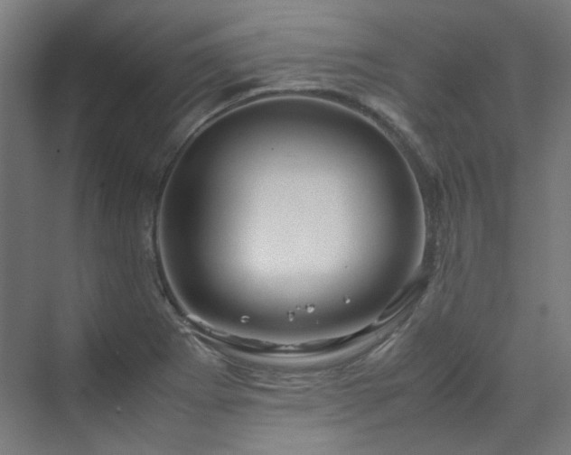 X0000070171273200606021048