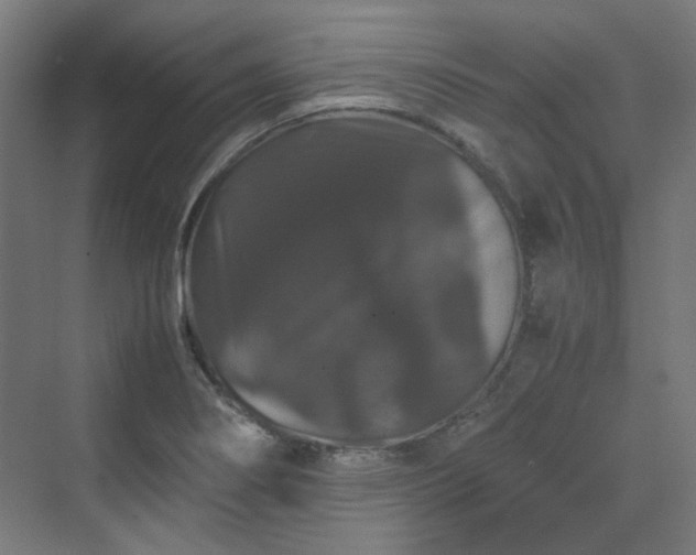 X0000070171274200606021048