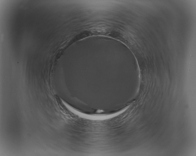 X0000070171297200606021046
