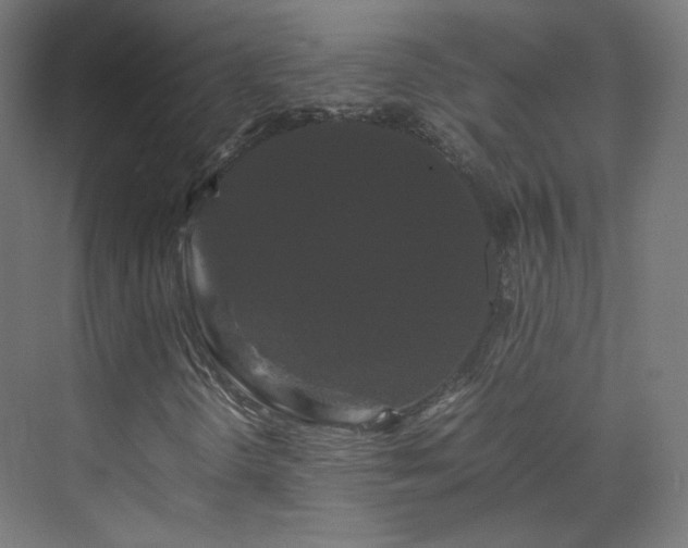 X0000070171298200606021047