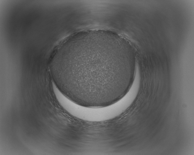 X0000070171302200606021047