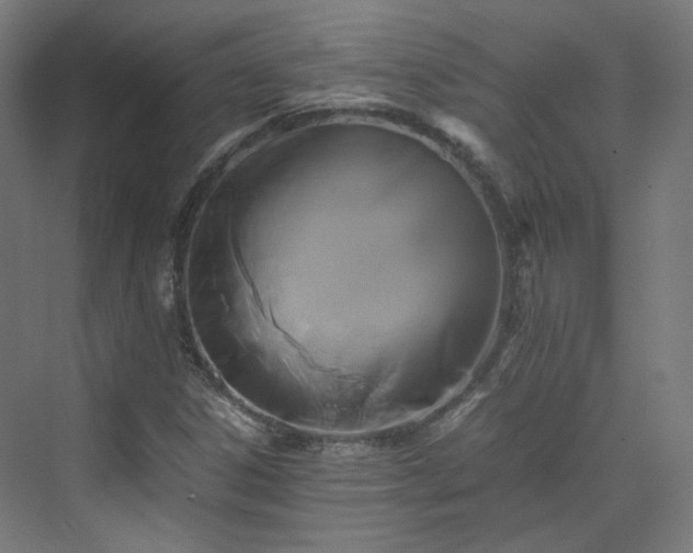 X0000070171306200606021047
