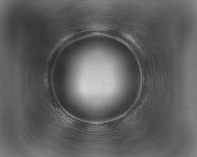 X0000070171307200606021047