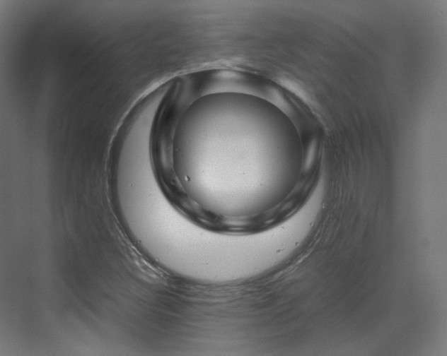 X0000070171308200606021047