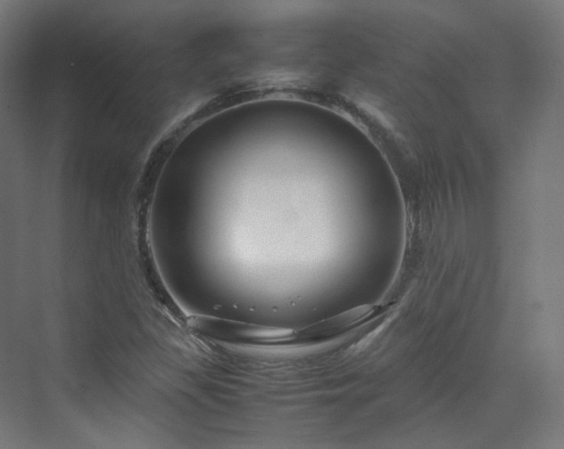 X0000070171309200606021047