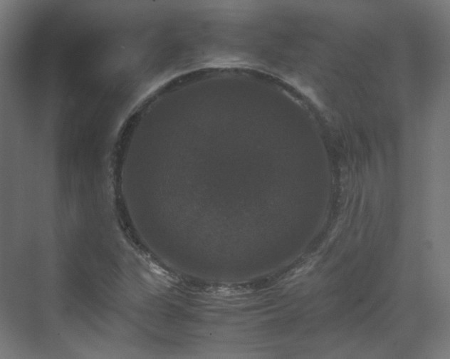 X0000070171311200606021047