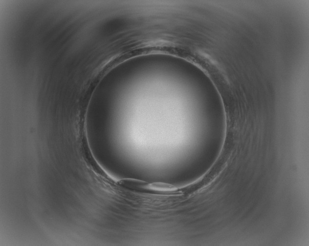 X0000070171313200606021047