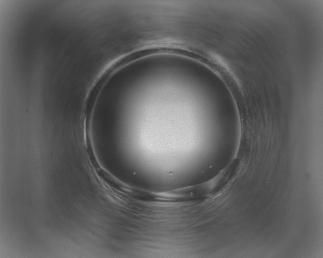 X0000070171320200606021047