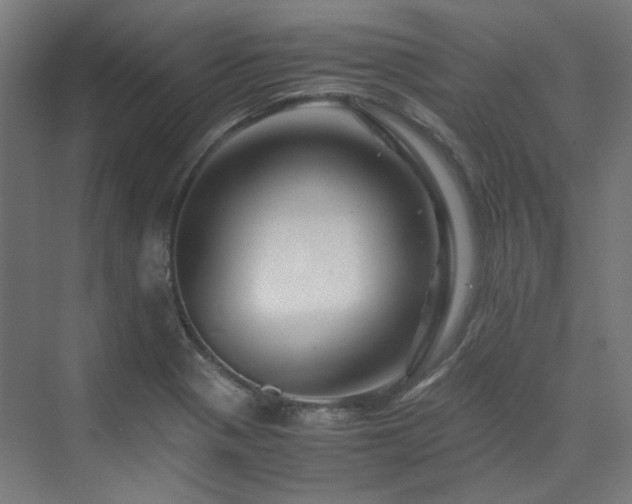 X0000070171321200606021047
