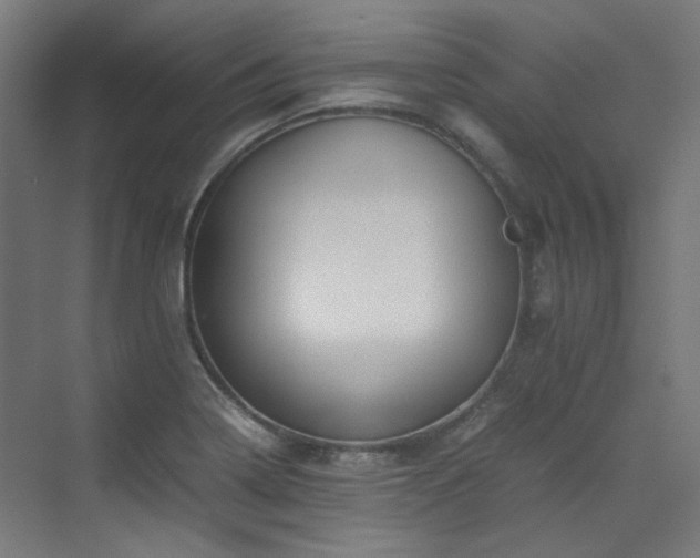 X0000070171322200606021047