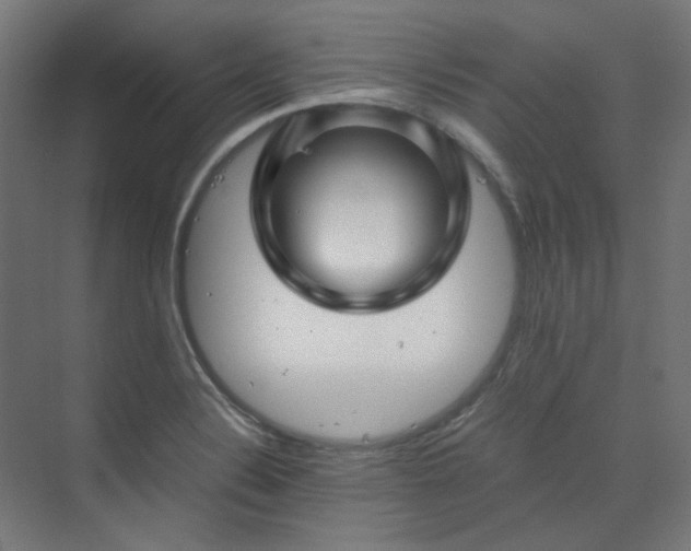 X0000070171324200606021047