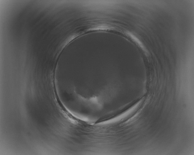 X0000070171329200606021047