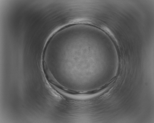 X0000070171336200606021047