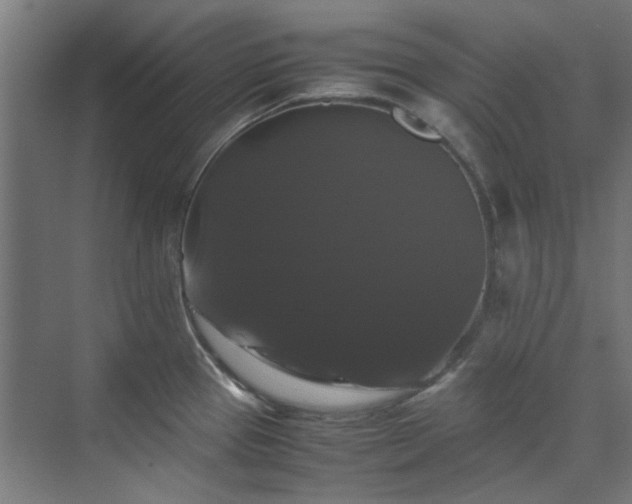 X0000070171337200606021047