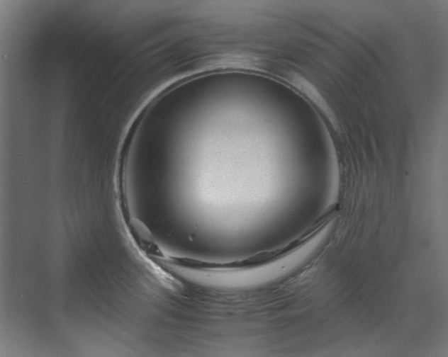 X0000070171339200606021047