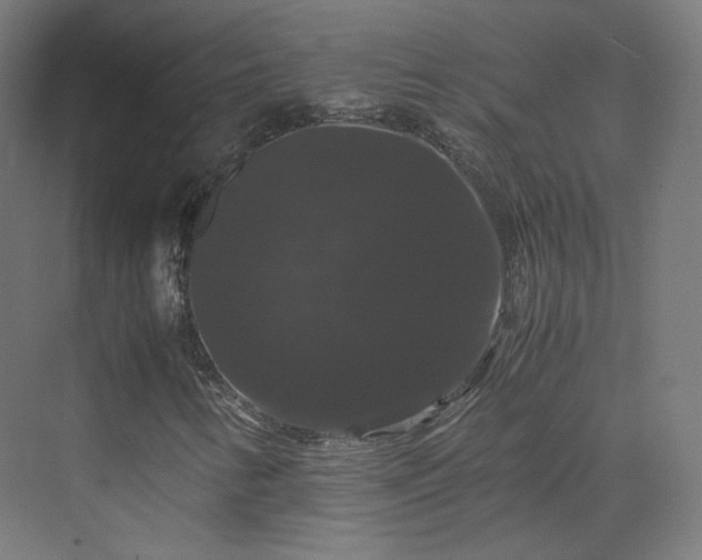 X0000070171346200606021046