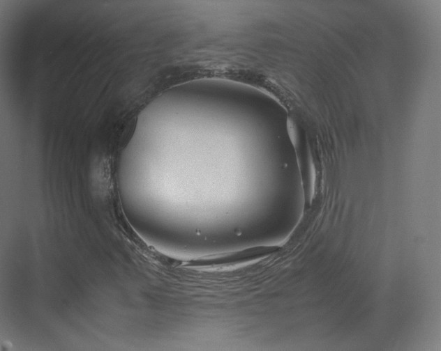 X0000070171347200606021046