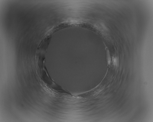 X0000070171348200606021046